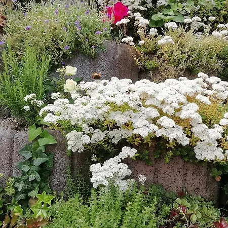 Apartamento Burgblick *