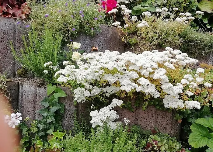 Apartament Burgblick *